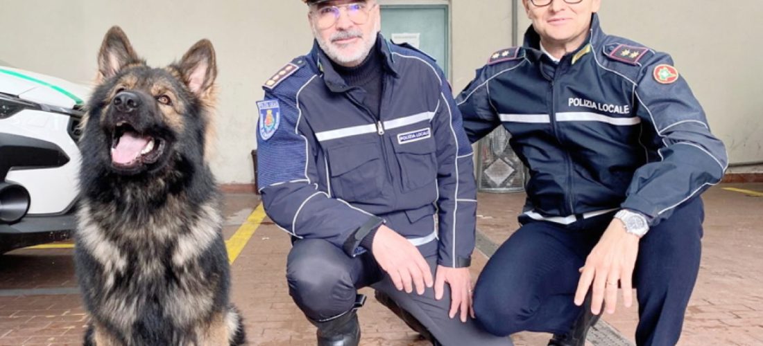La Polizia locale istituisce l’unità cinofila per ampliare le proprie capacità operative
