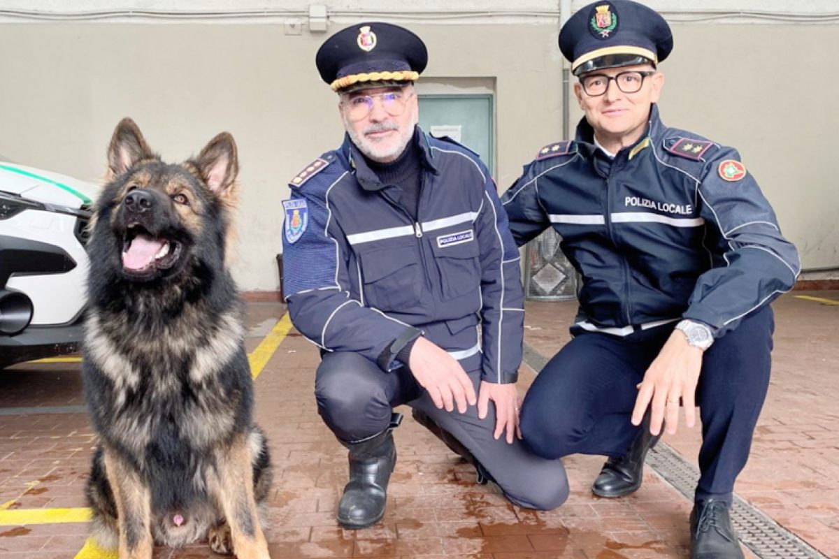 La Polizia locale istituisce l’unità cinofila per ampliare le proprie capacità operative