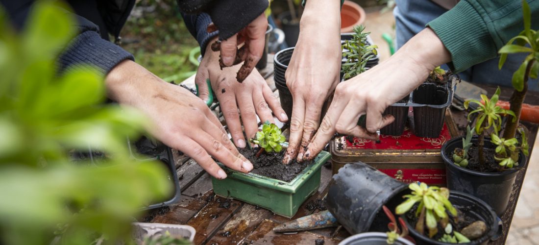 A Sesto San Giovanni parte il progetto per realizzare il vivaio inclusivo “Germogli di Sconfinoltre”