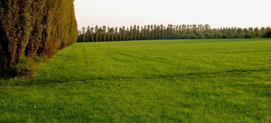 Cusano Milanino rafforza la tutela delle aree verdi: avviato il passaggio delle aree del Grubria al Parco Nord Milano