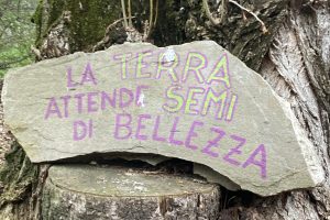 Un’assemblea pubblica su Sant’Eusebio “un quartiere che ci riguarda”