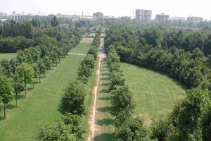 Il Comune di Cormano affida la gestione del verde al Parco Nord