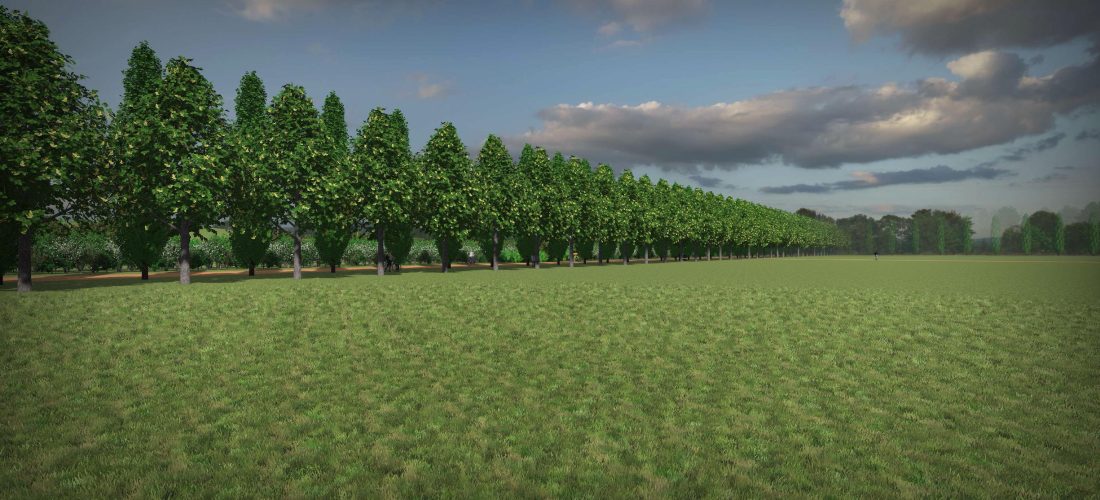 56 nuove alberature nell’area della Biopiattaforma ZeroC
