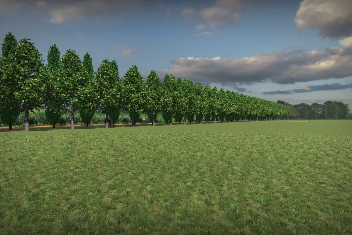 56 nuove alberature nell’area della Biopiattaforma ZeroC