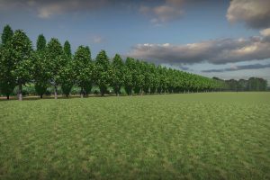 56 nuove alberature nell’area della Biopiattaforma ZeroC