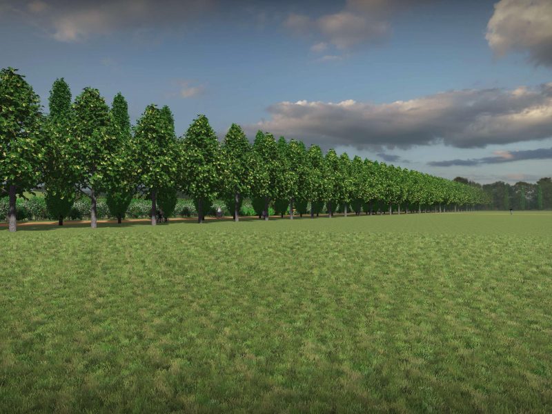 56 nuove alberature nell’area della Biopiattaforma ZeroC
